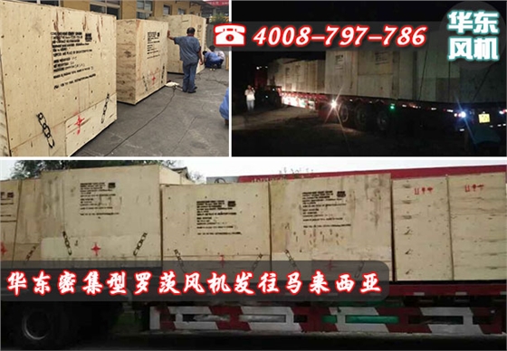 密集型羅茨風(fēng)機發(fā)貨
