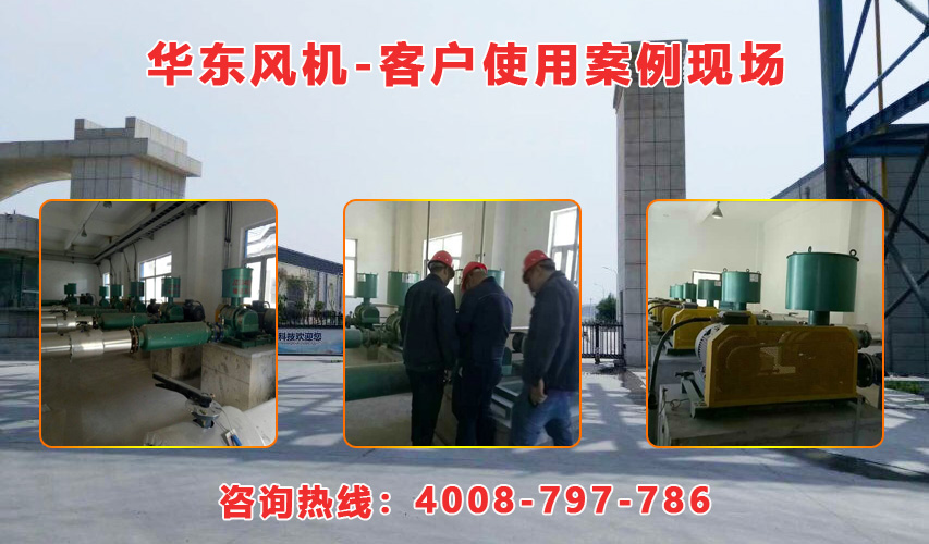華東內(nèi)蒙古羅茨風(fēng)機(jī)案例-內(nèi)蒙古**生物環(huán)?？萍加邢挢?zé)任公司